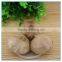 Wholesale Fermented Black Garlic Extract Aged Black Garlic Extract