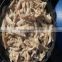 oyster mushroom preserved 50kg drum grey oyster mushroom in brine preserve oyster mushroom price