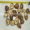 dried shiitake mushroom sliced cut shiitake mushroom