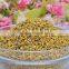 wholesale bee pollen prices bee pollen pollen