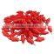 chicken nipple drinkers/poultry water nipples stainless steel for chicken house