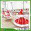 chicken raising equipments Automatic nipple drinker automatic pan feeding line