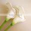 2017 trending prouct High Quality calla Flower Artificial silk Flowers calla