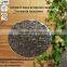 coconut shell activated carbon price per ton according to your order