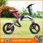 2017 New Folding Cheap Electric Bike for Sale