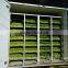 STAR GF300 Hydroponic Fodder Machine / Green Fodder Machine / Barley Fodder Machine