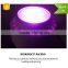 Low Price Aaa Quality High Power Hello Led Growing Light From Shenzhen Factory