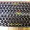 50 cell, 104 cell plastic PS seedling tray for agriculture