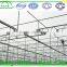 Glass Greenhouse by Gothic Arch Greenhouses