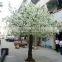 Fake blossom tree silk blossom flower tree for sale