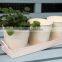 Decorative Planter