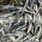 Hot Sales Land Frozen Anchovy
