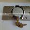 steel padlock