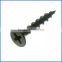 Black Coarse Thread Drywall Screw from Guangzhou Supplier