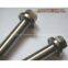 GR2 Titanium Bolts Manufacturers