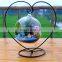 terrarium glass terrarium heart frame clear glass globe ball terrarium Planters Container Glass Flower Vase