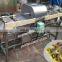 0086-18037101692 Fruit peeling machine_fruit skin remover_fruit and vegetable peeling machine
