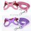 Eyeglass Shaped Pet Collar Leash Training Dog Pulling Rope Pet Neck Chain Pet Supplies