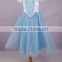 China bestdress solid light blue grenadine girl ball gown dress princess costume kids with hooded cloak                        
                                                Quality Choice
