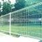 Decorative and Protective Double Wire Mesh Fence for Private Garden for Sale Fence Barrier Fencing, Trellis & Gates Iron Metal