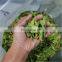 Organic dried lemon leaves/Hot sale dried lime leaf/Cheap price lemon leaf with good price from Vietnam