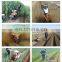 8hp agricultural farm tillage rotary tillers cultivators bed former diesel rotary mini tiller parts soil tiller for sale