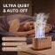Household Aromatherapy Humidifier with Five-hole Colorful Spray Silent Dynamic Sound Control