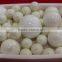 High Density Zirconia Beads