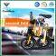 12 Inch Standard Configuration Folding Electric Bike Battery