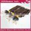 2015 hot sales kinky curly micro loop hair extension ,brazilian human hair wholesale