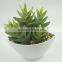 cheap wholesale artificial bonsai artificial cactus for decoraton