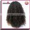 Wholesale brazilian 100% human hair curly lace front wig for black women