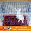Cheap pvc coated rabbit cage wire / rabbit house / metal rabbit cage