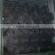 Geogrid mesh