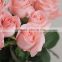 Fresh Rose High Quality 74cm single long stem red roses For sale