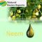 High Quality Pure Neem Oil - 100% Certified Organic