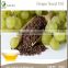 High Quality Organic Edible Grape Seed Oil Price                        
                                                Quality Choice