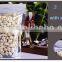 clear food packaging stand up pouch plastic zipper bag