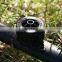 Banana ,folwer, fruits, trees good quality farm drip irrigation systems