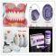 High quality with FDA approved Acrylic Denture Base Polymers Powder traditional hot curing with liquid