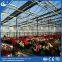 metal greenhouse galvanized-steel rolling bench seedbed system for planting