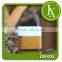 Wholesale Essential Oil Diffuser Wood Humidifier 120ML With 1 Button Control LM 005 24V Home Fragrance Diffuser