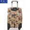 Polycarbonate Canvas Printed Trolley Luggage Canvas Travel Luggage