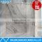 Frameless Obscure Tempered Glass Sliding Shower Door