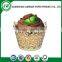 Cupcake wrapper made in China supplier
