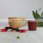 Design Cute Garden Decoration Small Resin Plant Nursery Pot