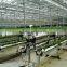 substrates hydroponic greenhouse for tomato cucumbers peppers lettuce