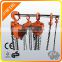 Selling TUV Approved Vital Coffing chain Hoist/Manual Chain Block