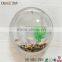 morden design wall mounted high transparent acrylic fish or plant display wholesale