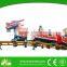 Lonton rides delivery 10% faster than competitor mini roller coaster for sale